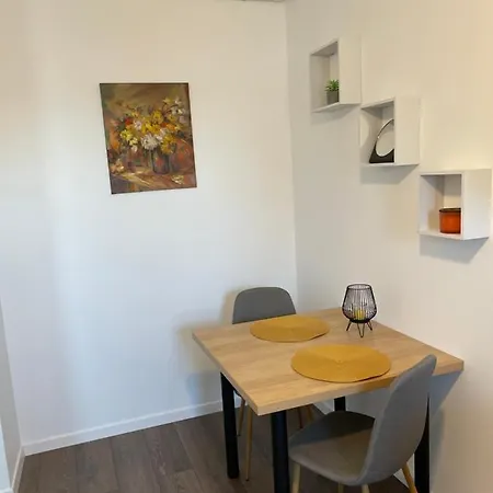 Apartcentral Baia Mare Exterior foto