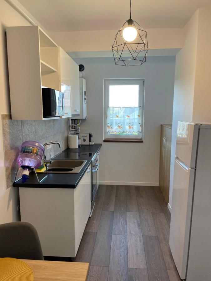 Apartcentral Baia Mare
