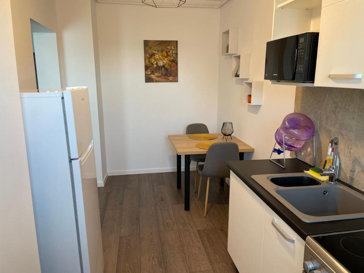 Apartcentral Baia Mare